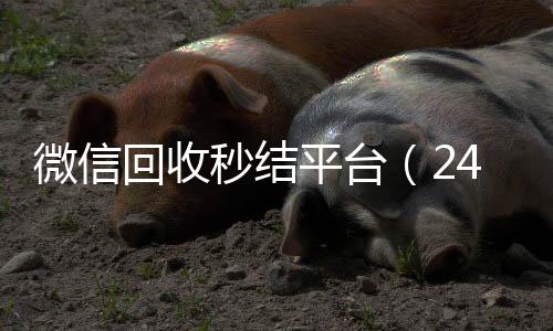 微信回收秒结平台（24长期收购微信号小时高价回收微信秒结平台正规微信号回收秒结）